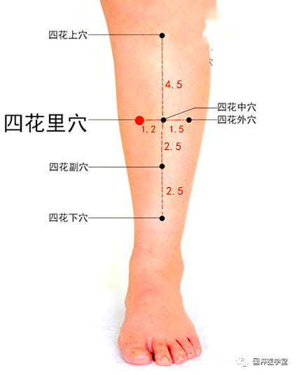 四花中 劃數吉凶